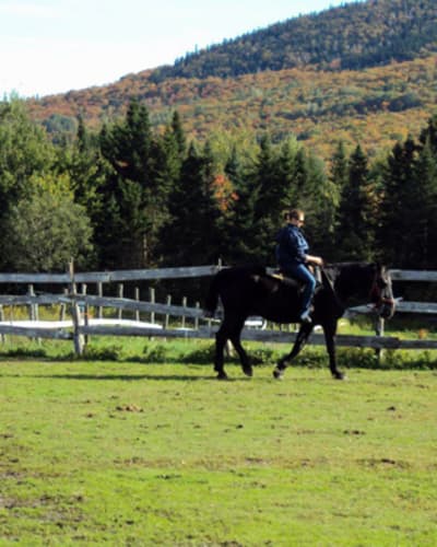 ranch_massif_du_sud_1