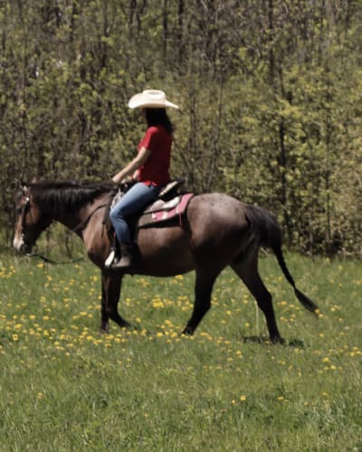 ranch_robert_1