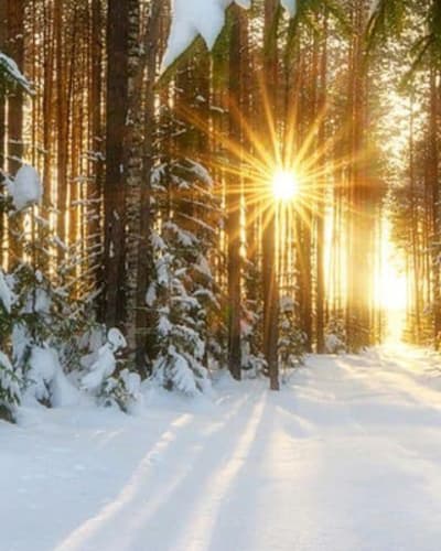 relaxation_et_nature_cet_hiver_en_petite_nation_1_h