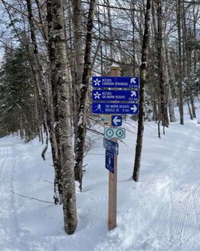 reseau_de_ski_de_fond_de_morin_heights__corridor_aerobique_1_h