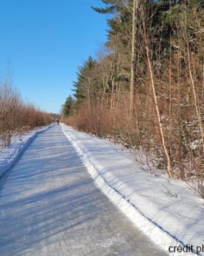 sentier_de_patinage_en_foret_de_lerable_rouge_1