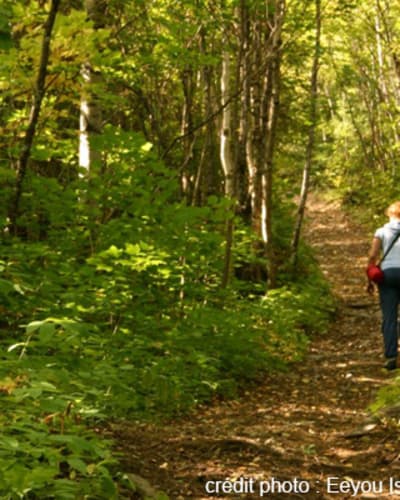 sentier_du_lac_imbeau_1