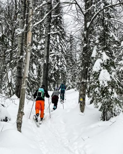 ski_de_fond_au_mont_grand_fonds_1_h