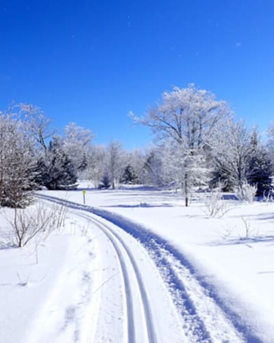 ski_de_fond_la_cle_des_bois_1_h