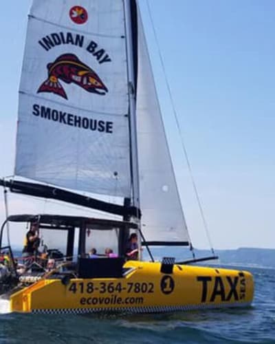 taxsea_1
