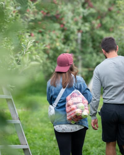 terroir_et_saveurs_du_quebec_1