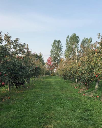 verger_duhaime_inc_1