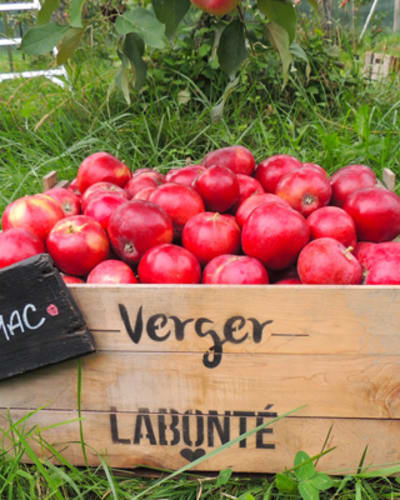 verger_labonte_1