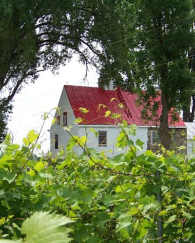 vignoble_bouche_art_1
