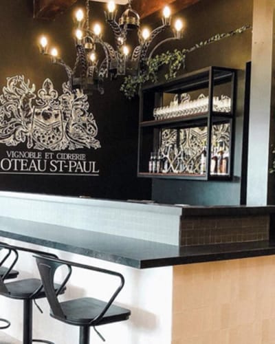 vignoble_coteau_saint_paul_1