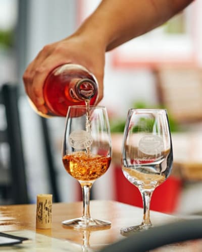 vignoble_du_mitan_1