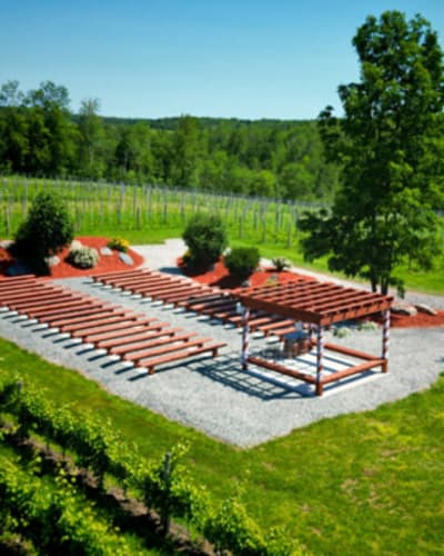 vignoble_la_halte_des_pelerins_1