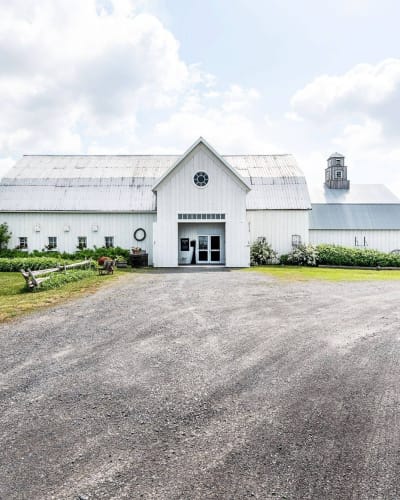 vignoble_le_mas_des_patriotes_1