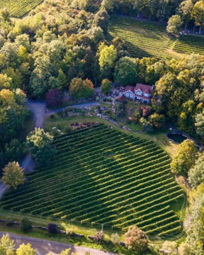 vignoble_les_murmures_1