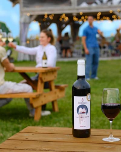 vignoble_vineterra_1