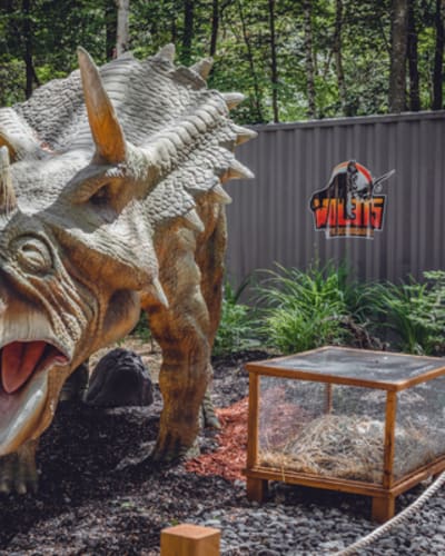 woodooliparc_1