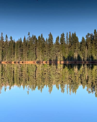 zec_kiskissink_1