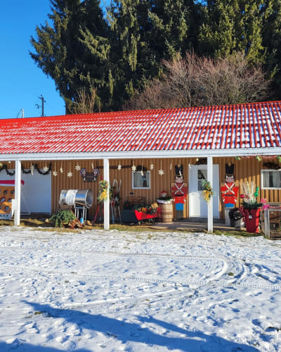 Boutique, Plantation des Noëls d'antan.