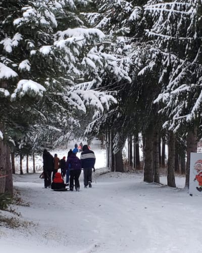 Balade en forêt en famille. 