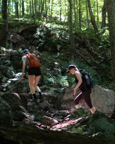 Randonnées pédestres dans Brome-Missisquoi