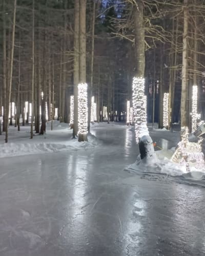 Sentier de patin en forêt de Lac-Simon.