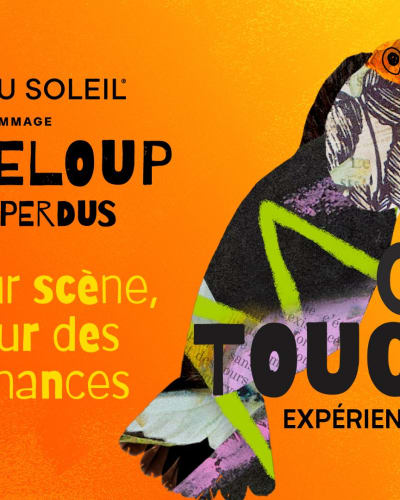 Expérience immersive | NOS CENTS TOUCANS