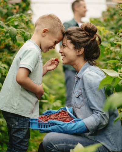 Terroir et Saveurs du Québec : famille