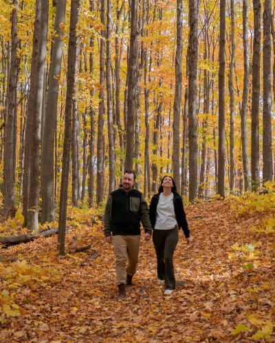 Couple marchant dans un paysage coloré d'automne.