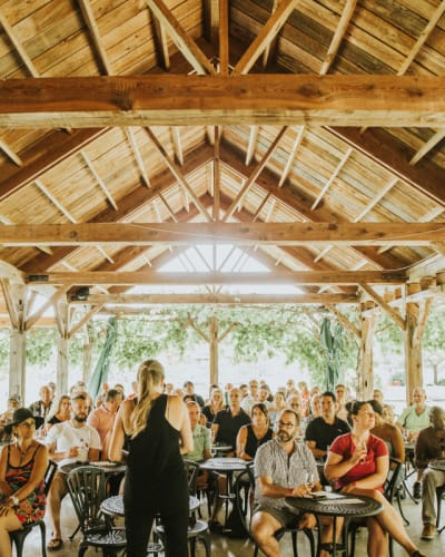 Domaine du Ridge : wine tasting
