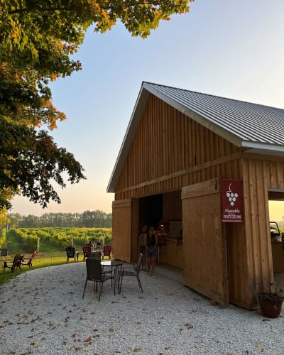 Vignoble Le Di-Vin