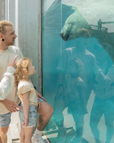Famille au zoo.