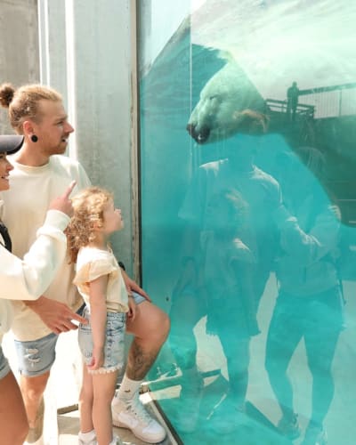 Une famille au Zoo de St-Félicien