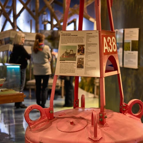 Exposition