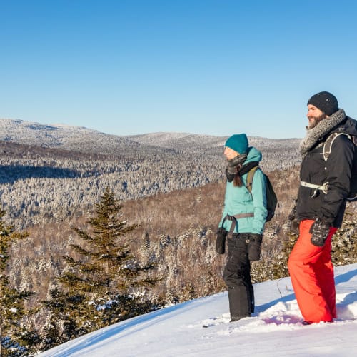 Snowshoeing