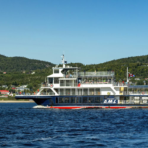Croisière aux baleines