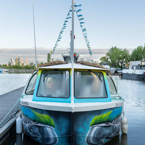 Croisières guidées