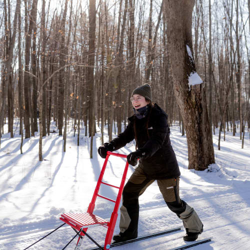 Trottinette des neiges