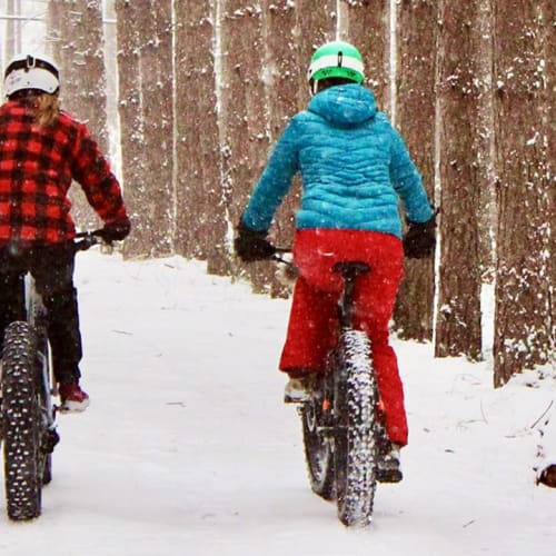 Fatbike