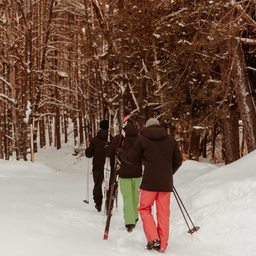 Ski de fond