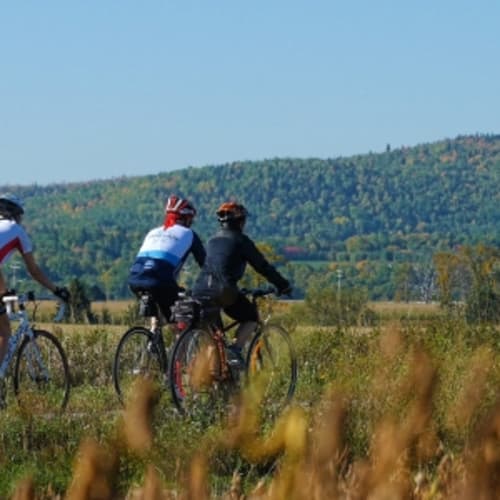 Vélo