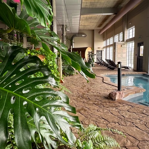 Spa nordique