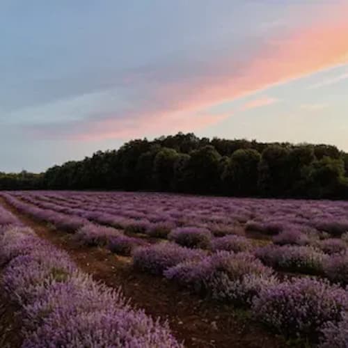Soirées coucher de soleil