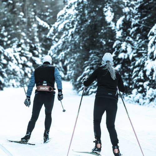 Ski de fond