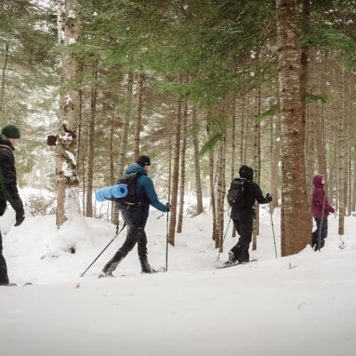 Ski de fond