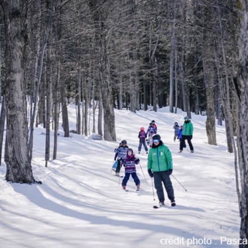 Ski alpin