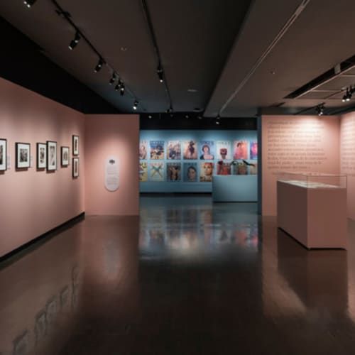 Exposition