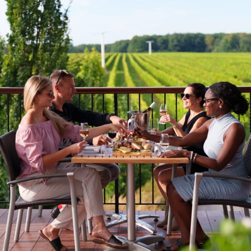 Vergers et vignobles