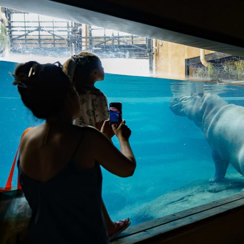 Aquarium