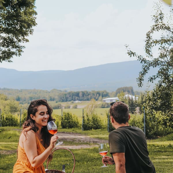 Agrotourisme dans Brome-Missisquoi : pique-nique