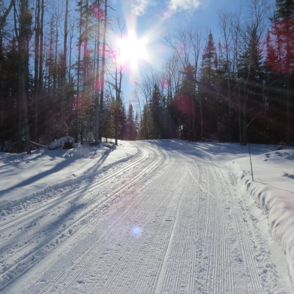Sentier en hiver à Amiski Club de ski de fond & raquette.